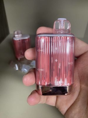 Sopros Mesh Coil Disposable Vape 950mah do OEM Te5000 13.5ml 5000
