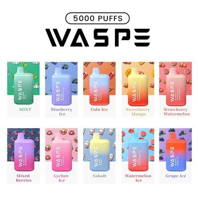 Waspe 5000Puffs E Cigarro Vapor descartável 13ml 2%/3%/5% Nic 650mah Recarregável