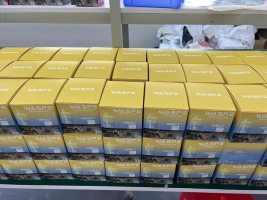 Eb Bc5000 Recarregável Vape Mesh Coil 5000 Puffs 5% Pod descartável