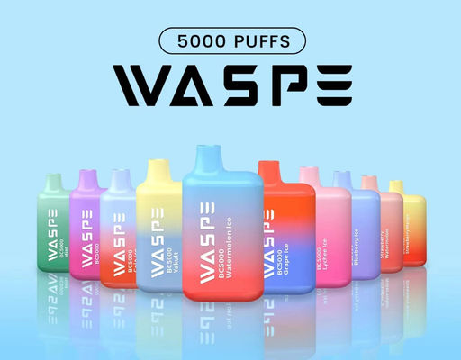 Waspe 5000 PUFFS Vape recarregável descartável 13 ml Suco pré-cheio