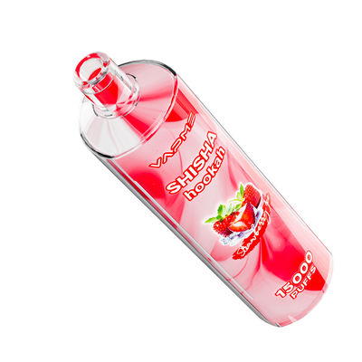 15000 puffs Sabores de frutas Vapor Tipo C Portão de carregamento 25 ml Capacidade de suco SUS304