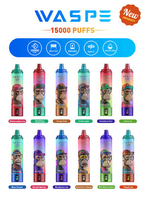 Vape personalizado de 22 ml SUS304 com 12 sabores frutíferos de 15000 puffs