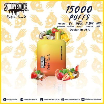 15000 puffs Vape de sabor a frutas Dupla bateria de 18 ml com bateria recarregável tipo C de 650 mAh