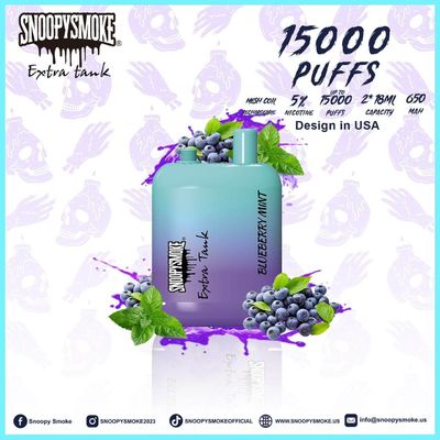 Bateria recarregável de tipo C com 15000 puffs sabor de fruta bobina de malha de 1,2 ohm