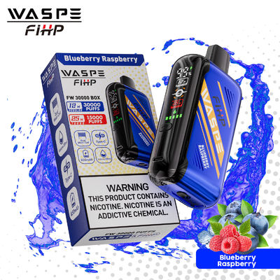 30000 Puffs Mesh Coil Vapor descartável com 28 ml E líquido e fluxo de ar ajustável