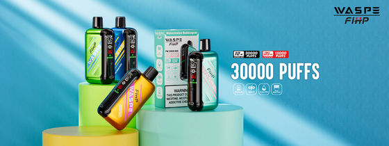 Tipo-C Carregamento 1 ohm Dual Mesh Coil Vape com desempenho duradouro e 15000 puffs