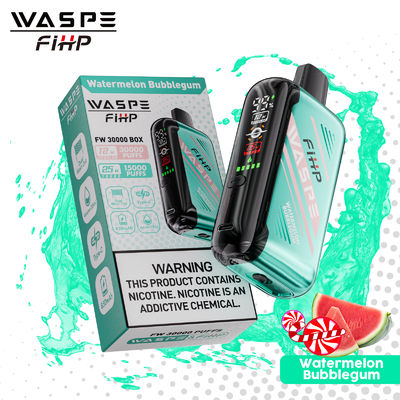 Tipo-C Carregamento 1 ohm Dual Mesh Coil Vape com desempenho duradouro e 15000 puffs
