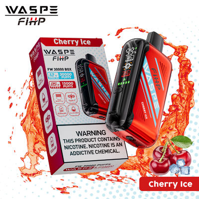 Tipo-C Carregamento 1 ohm Dual Mesh Coil Vape com desempenho duradouro e 15000 puffs