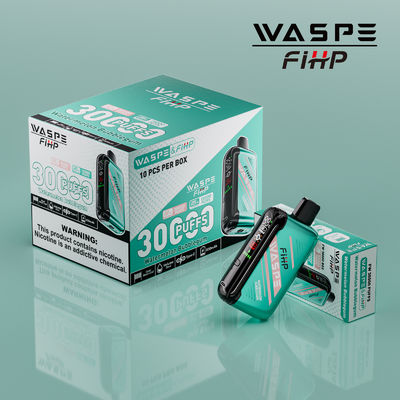 Tipo-C Carregamento 1 ohm Dual Mesh Coil Vape com desempenho duradouro e 15000 puffs